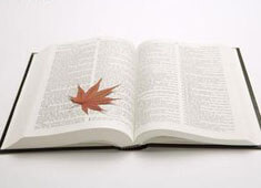 河北男篮斗志昂扬，击败对手！