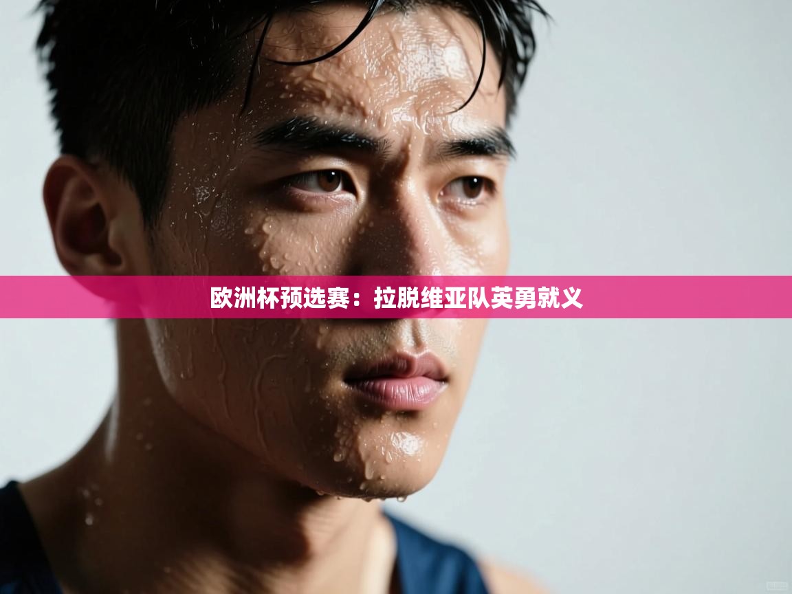 欧洲杯预选赛:拉脱维亚队英勇就义 第2张