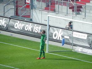 澳亚国际最新版本-德甲巅峰之战：汉堡对阵RB莱比锡，激情碰撞！，汉堡对德累斯顿比分预测